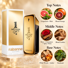 Rabanne 1 Million Eau de Toilette 100 mL for Men
