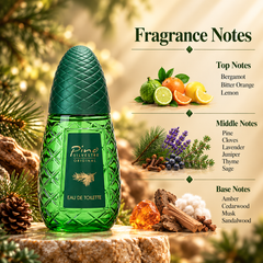 Pino Silvestre Eau de Toilette 300 mL for Men
