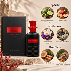Fragrance Story Perfect Extrait de Parfum 100 mL for Men