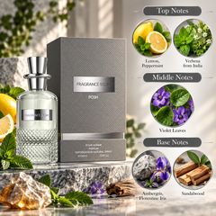 Fragrance Story Posh Parfum 100 mL for Men