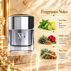 Rabanne XS Eau de Toilette 100 mL for Men