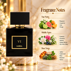 Ajmal Gold Collection VI Eau de Parfum 100 mL for Men